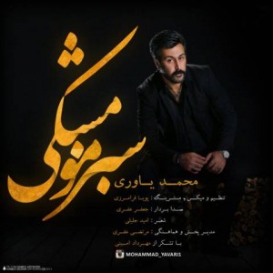 mohammad-yavari-sabze-moo-meshki-640